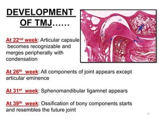 At 22nd week: Articular capsule
becomes recognizable and
merges peripherally with
condensation
At 26th week: All components of joint appears except
articular eminence
At 31st week: Sphenomandibular ligamnet appears
At 39th week: Ossification of bony components starts
and resembles the future joint
DEVELOPMENT
OF TMJ……
12
 