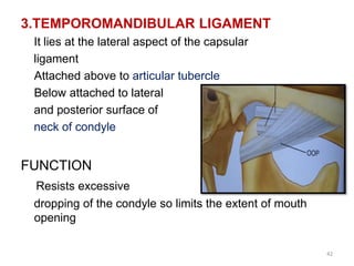 3.TEMPOROMANDIBULAR LIGAMENT
It lies at the lateral aspect of the capsular
ligament
Attached above to articular tubercle
Below attached to lateral
and posterior surface of
neck of condyle
FUNCTION
Resists excessive
dropping of the condyle so limits the extent of mouth
opening
42
 