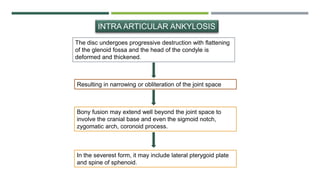 The disc undergoes progressive destruction with flattening
of the glenoid fossa and the head of the condyle is
deformed and thickened.
INTRA ARTICULAR ANKYLOSIS
Resulting in narrowing or obliteration of the joint space
Bony fusion may extend well beyond the joint space to
involve the cranial base and even the sigmoid notch,
zygomatic arch, coronoid process.
In the severest form, it may include lateral pterygoid plate
and spine of sphenoid.
 