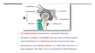  The articular portion of temporal bone is composed of three parts
 The largest is articular or mandibular fossa- post slope of articular eminence
to post glenoid fossa- it is a ridge between fossa & external acoustic meatus
 Second portion is the articular eminence- it is usually thick and serves as a
major component- of the TMJ- it serves as a attachment of collateral ligaments
 