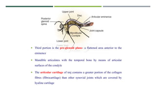  Third portion is the pre-glenoid plane- a flattened area anterior to the
eminence
 Mandible articulates with the temporal bone by means of articular
surfaces of the condyle
 The articular cartilage of tmj contains a greater portion of the collagen
fibres (fibrocartilage) than other synovial joints which are covered by
hyaline cartilage
 
