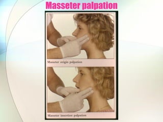 Masseter palpation
 