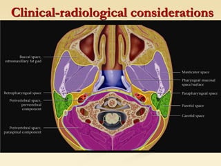 Clinical-radiological considerations
 