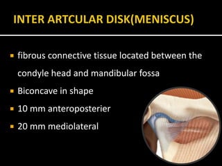  fibrous connective tissue located between the
condyle head and mandibular fossa
 Biconcave in shape
 10 mm anteroposterier
 20 mm mediolateral
 