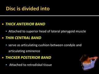  THICK ANTERIOR BAND
 Attached to superior head of lateral pterygoid muscle
 THIN CENTRAL BAND
 serve as articulating cushion between condyle and
articulating eminence
 THICKER POSTERIOR BAND
 Attached to retrodiskal tissue
 