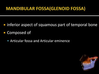  inferior aspect of squamous part of temporal bone
 Composed of
 Articular fossa and Articular eminence
 