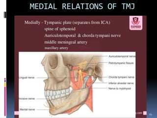 Tmj Relations TEMPOROMANDIBULAR JOINT | PPTX