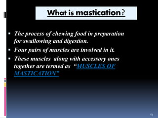 Mastication Process TEMPOROMANDIBULAR JOINT | PPTX