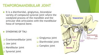 Temporal Compounding TEMPOROMANDIBULAR JOINT & IT'S BIOMECHANICS.pptx