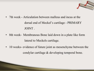 • 7th week - Articulation between malleus and incus at the 
dorsal end of Meckel’s cartilage - PRIMARY 
JOINT . 
• 8th week- Membranous Bone laid down in a plate like form 
lateral to Meckels cartilage. 
• 10 weeks- evidence of future joint as mesenchyme between the 
condylar cartilage & developing temporal bone. 
 