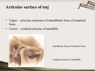 Articular surface of tmj 
• Upper – articulae eminence of mandibular fossa of temporal 
bone 
• Lower – condylar process of mandible 
mandibular fossa of temporal bone 
condylar process of mandible 
 