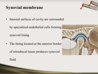 Synovial membrane 
• Internal surfaces of cavity are surrounded 
by specialized endothelial cells forming 
synovial lining. 
• The lining located at the anterior border 
of retrodiscal tissue produces synovial 
fluid. 
 