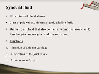 Synovial fluid 
• Ultra filtrate of blood plasma 
• Clear or pale yellow, viscous, slightly alkaline fluid. 
• Dialysate of blood that also contains mucin( hyaluronic acid) 
lymphocytes, monocytes, and macrophages. 
• Functions 
a. Nutrition of articular cartilage 
b. Lubrication of the joint cavity 
c. Prevents wear & tear. 
 