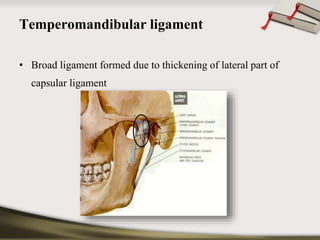 Temperomandibular ligament 
• Broad ligament formed due to thickening of lateral part of 
capsular ligament 
 