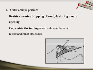 1. Outer oblique portion: 
Resists excessive dropping of condyle during mouth 
opening 
Oop resists the impingement submandibular & 
retromandibular structures.. 
 