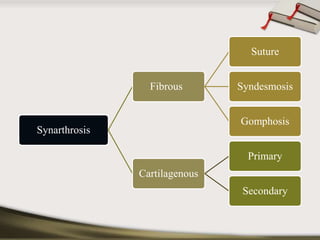 Synarthrosis 
Fibrous 
Suture 
Syndesmosis 
Gomphosis 
Cartilagenous 
Primary 
Secondary 
 