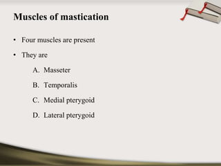 Muscles of mastication 
• Four muscles are present 
• They are 
A. Masseter 
B. Temporalis 
C. Medial pterygoid 
D. Lateral pterygoid 
 