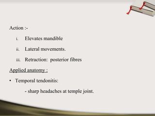 Action :- 
i. Elevates mandible 
ii. Lateral movements. 
iii. Retraction: posterior fibres 
Applied anatomy : 
• Temporal tendonitis: 
- sharp headaches at temple joint. 
 
