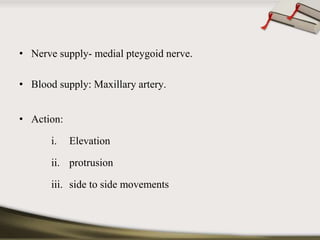 • Nerve supply- medial pteygoid nerve. 
• Blood supply: Maxillary artery. 
• Action: 
i. Elevation 
ii. protrusion 
iii. side to side movements 
 