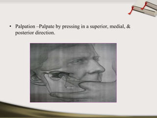 • Palpation –Palpate by pressing in a superior, medial, & 
posterior direction. 
 