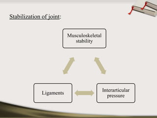 Musculoskeletal 
stability 
Interarticular 
pressure 
Stabilization of joint: 
Ligaments 
 
