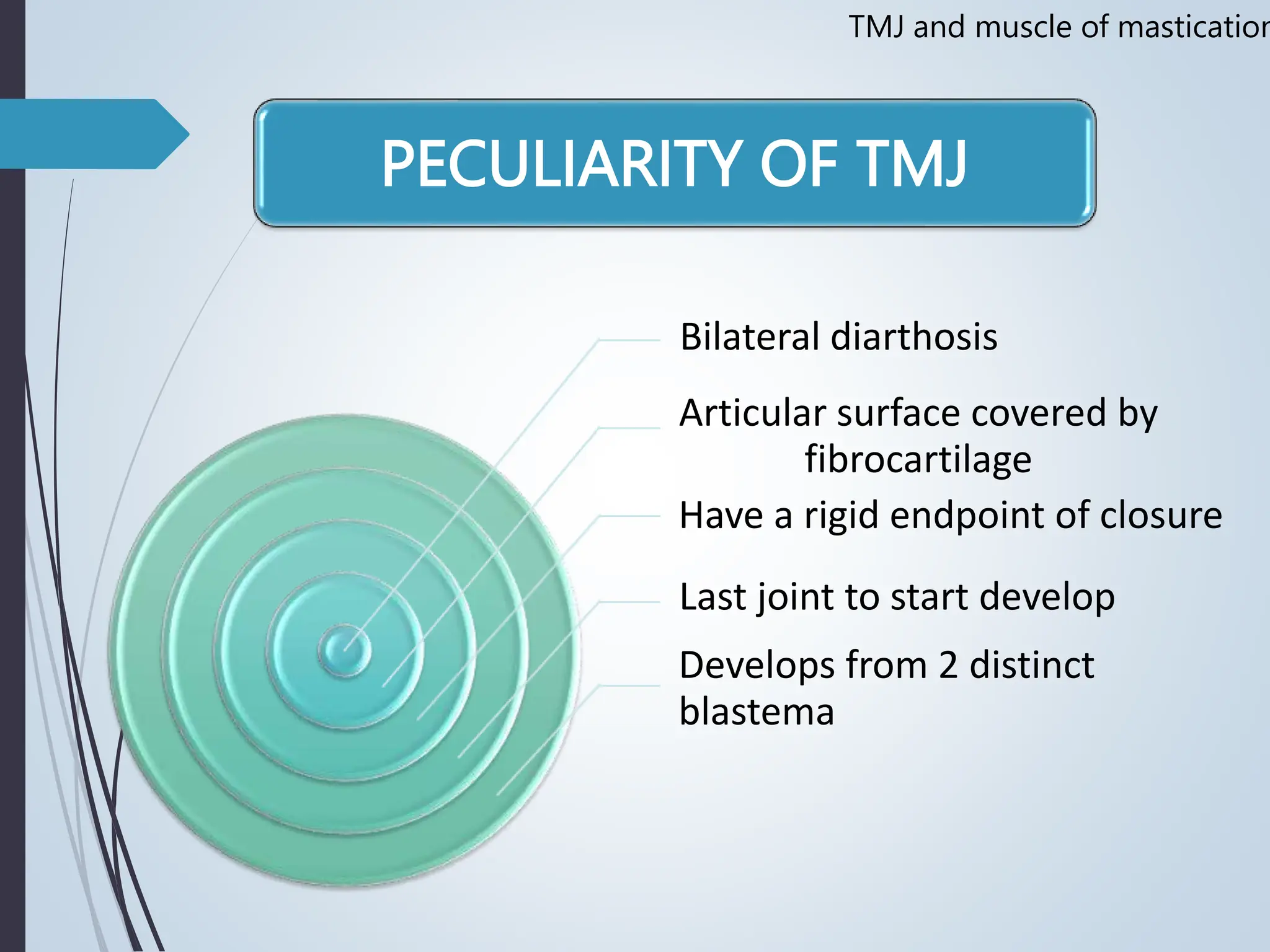 Temporomandibular joint Muscles of Mastication | PPT