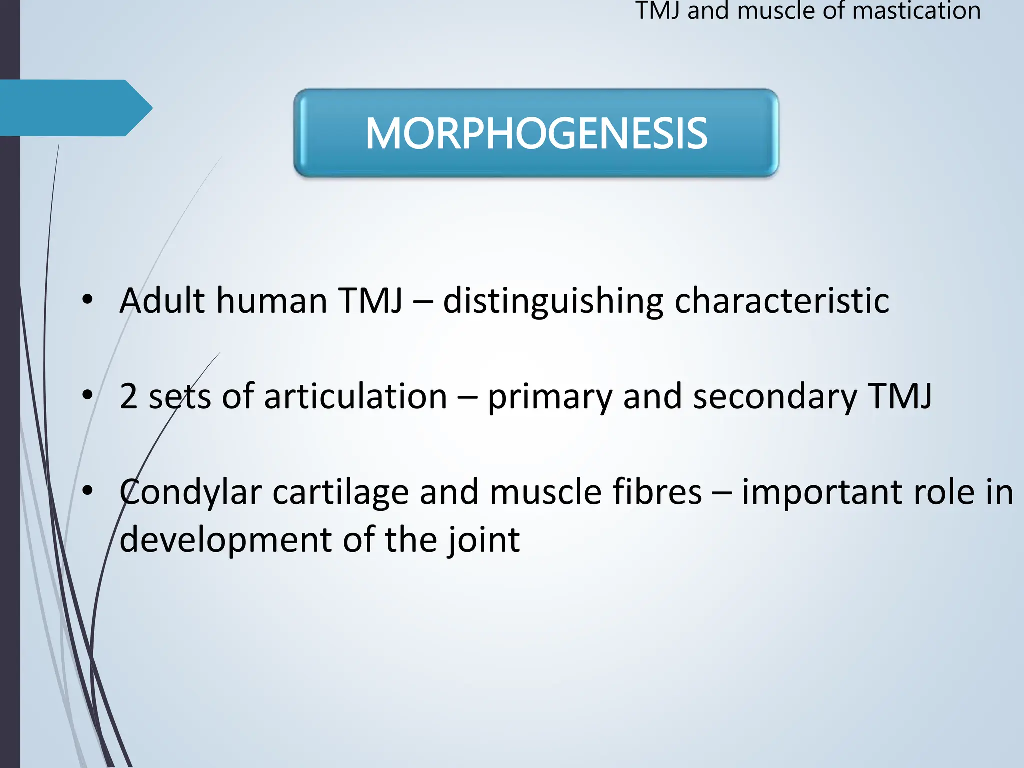 Temporomandibular joint Muscles of Mastication | PPT