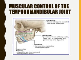 MUSCULAR CONTROL OF THE
TEMPOROMANDIBULAR JOINT
 