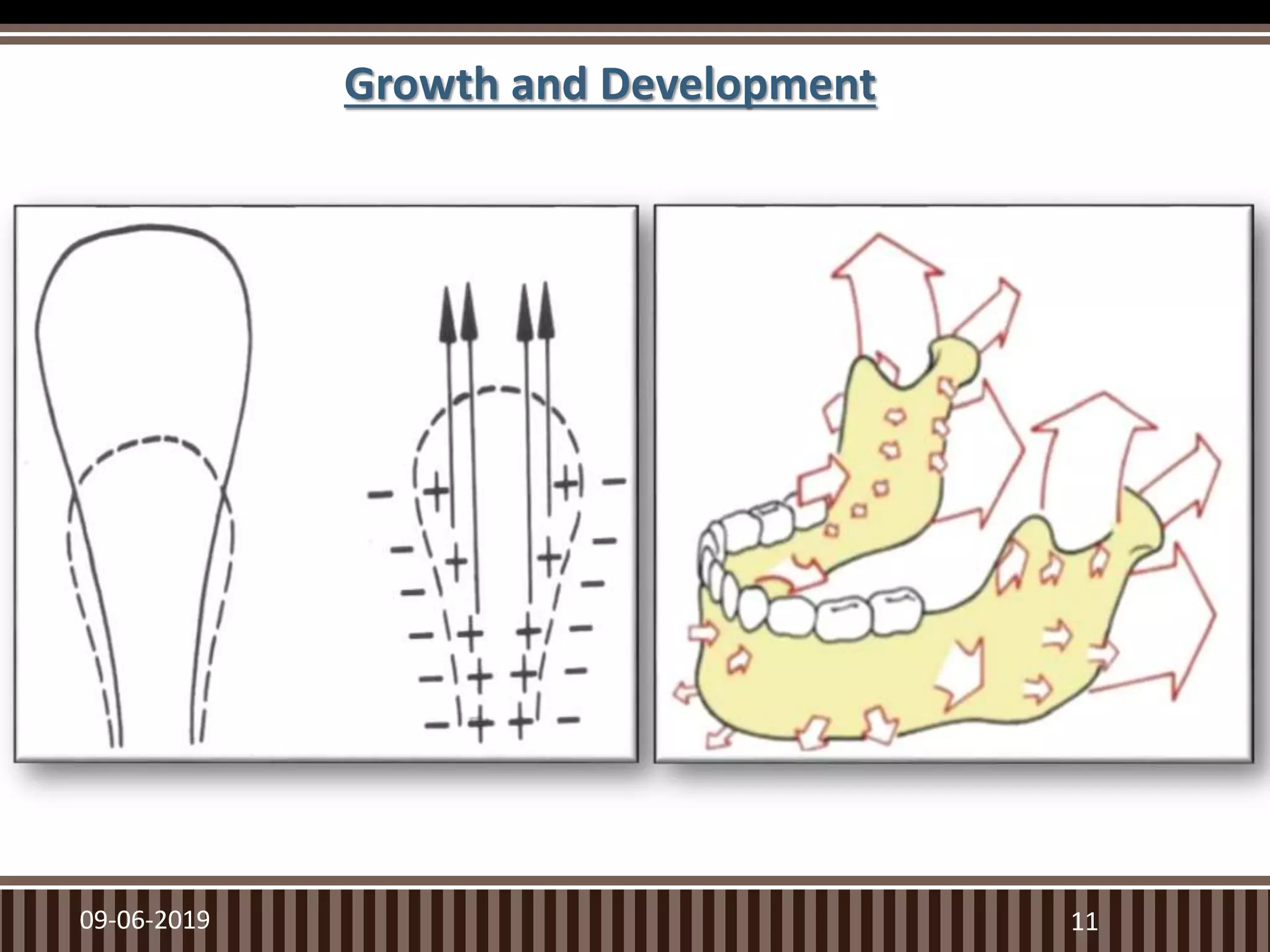 09-06-2019 11
Growth and Development
 