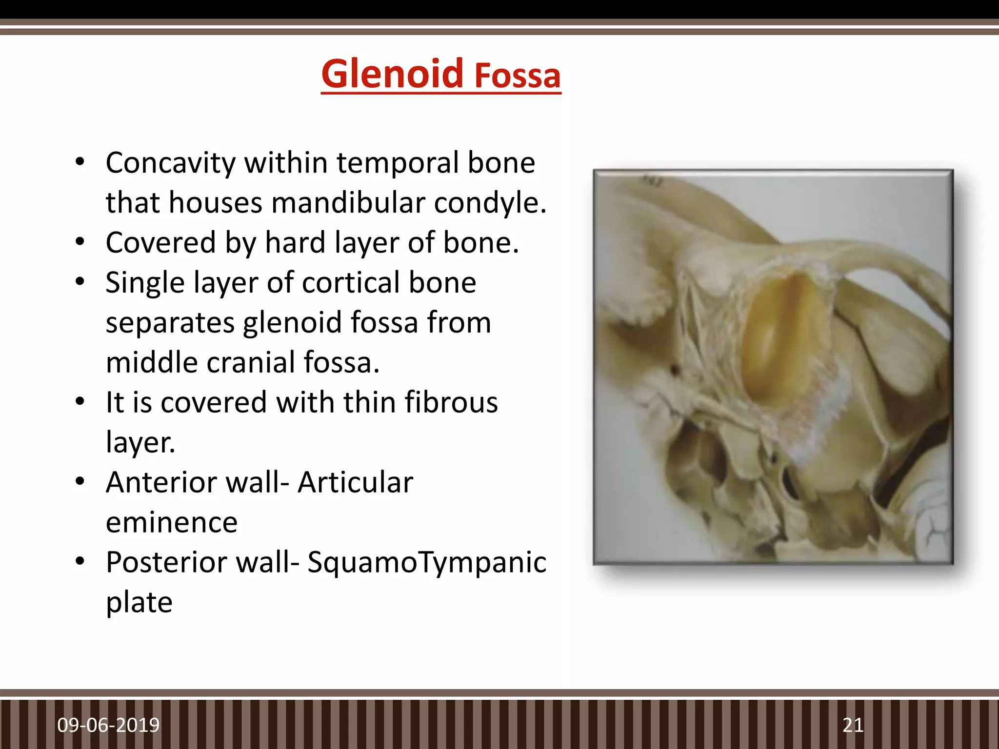 Glenoid Fossa
09-06-2019 21
• Concavity within temporal bone
that houses mandibular condyle.
• Covered by hard layer of bone.
• Single layer of cortical bone
separates glenoid fossa from
middle cranial fossa.
• It is covered with thin fibrous
layer.
• Anterior wall- Articular
eminence
• Posterior wall- SquamoTympanic
plate
 