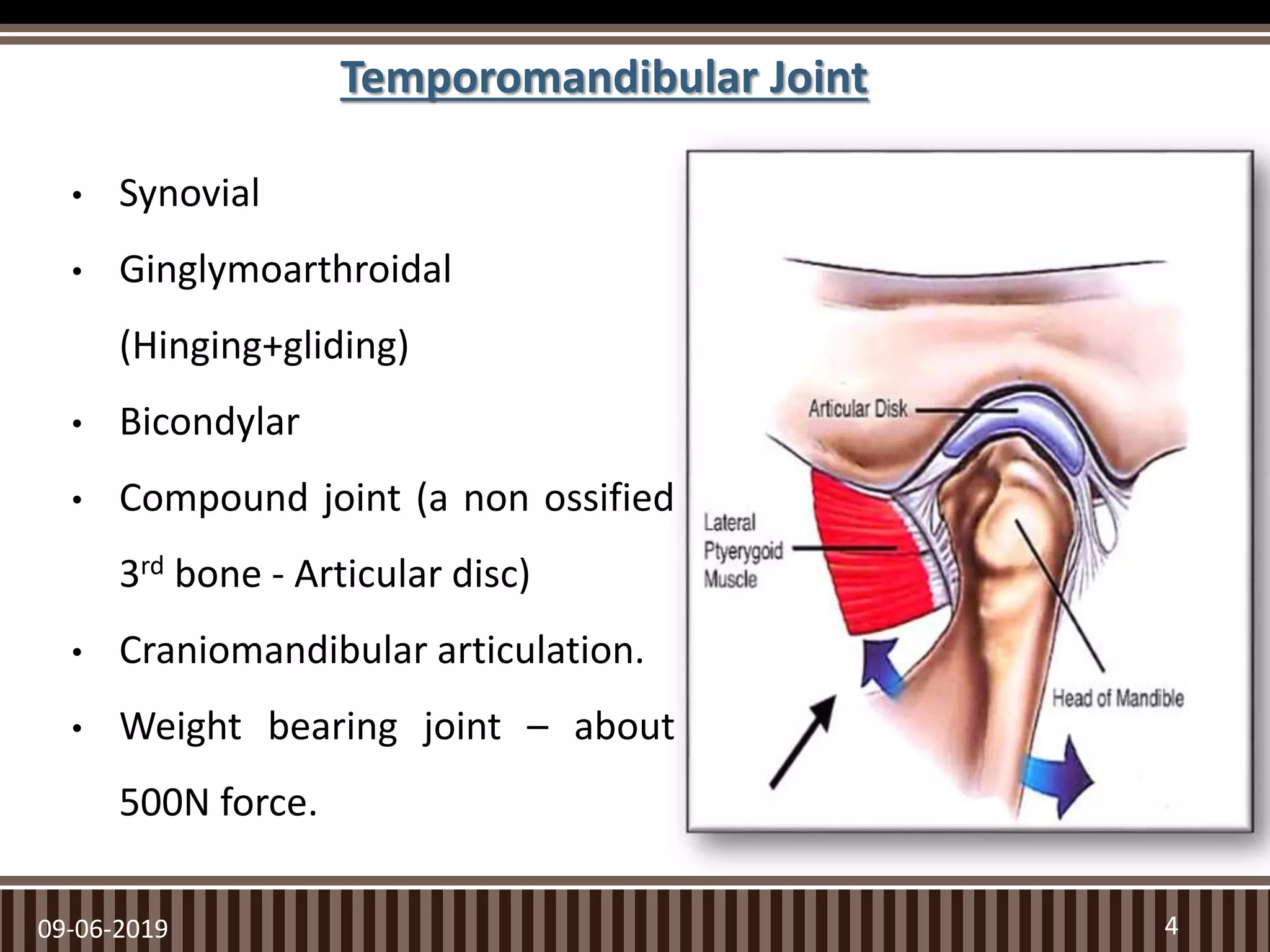 • Synovial
• Ginglymoarthroidal
(Hinging+gliding)
• Bicondylar
• Compound joint (a non ossified
3rd bone - Articular disc)
• Craniomandibular articulation.
• Weight bearing joint – about
500N force.
4
Temporomandibular Joint
09-06-2019
 