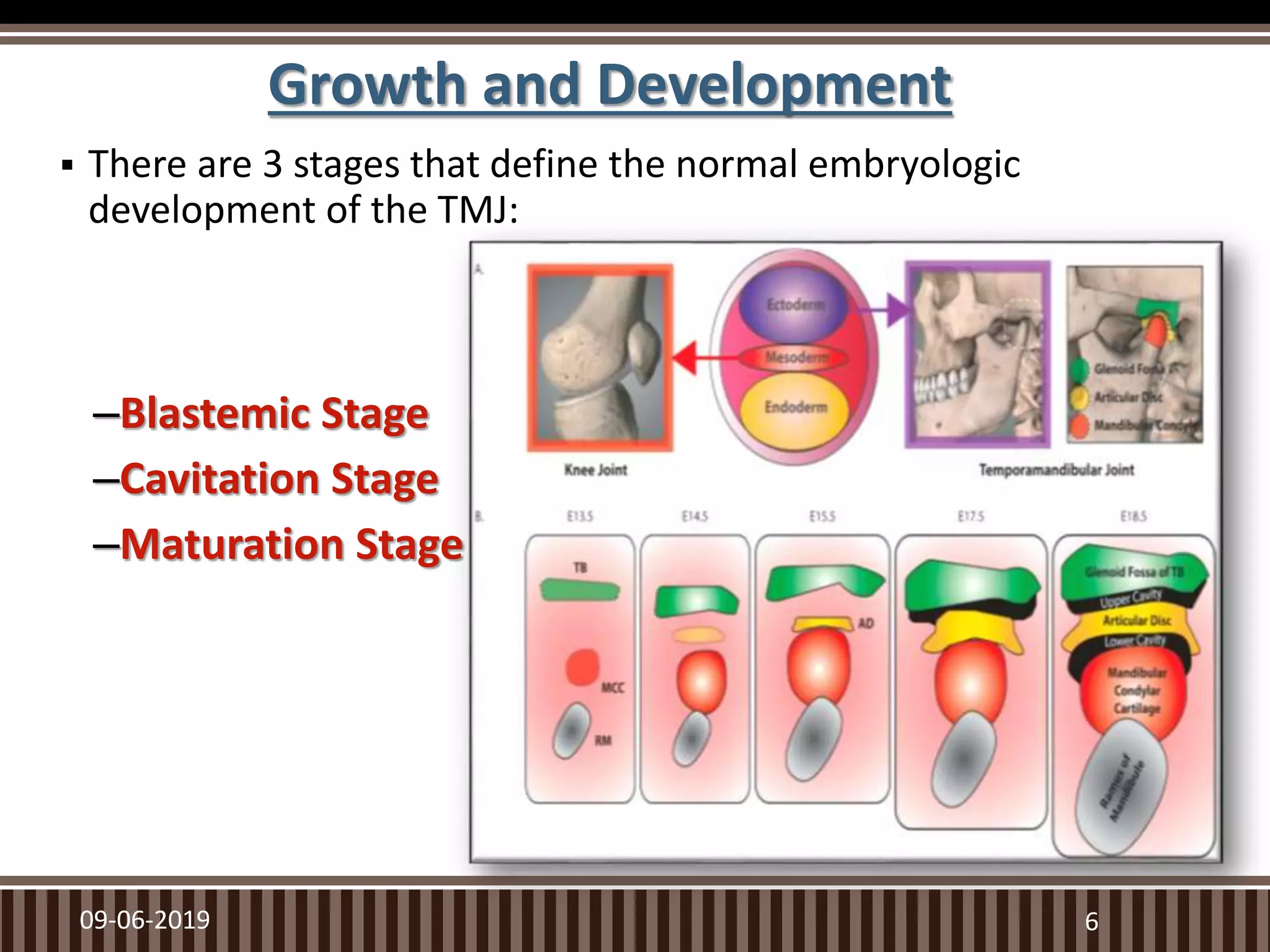  There are 3 stages that define the normal embryologic
development of the TMJ:
–Blastemic Stage
–Cavitation Stage
–Maturation Stage
09-06-2019 6
Growth and Development
 