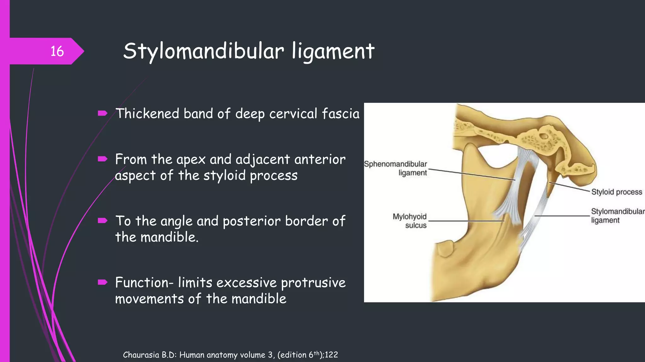 Stylomandibular ligament
 Thickened band of deep cervical fascia
 From the apex and adjacent anterior
aspect of the styloid process
 To the angle and posterior border of
the mandible.
 Function- limits excessive protrusive
movements of the mandible
16
Chaurasia B.D: Human anatomy volume 3, (edition 6th);122
 