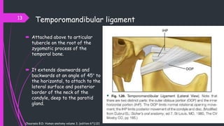 OCCLUSION AND TMDs | PPTX