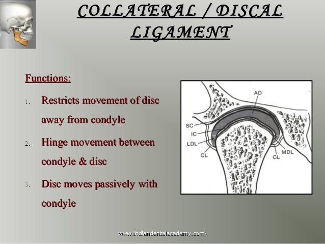 Tmj surgical anatomy and approaches (nx power lite) /certified fixed