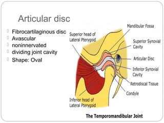 temporomandibular joint. Structure and functions.pptx