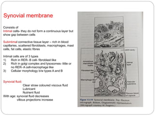 temporomandibular joint. Structure and functions.pptx