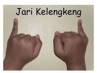 Jari Kelengkeng
 