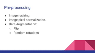 Pre-processing
● Image resizing.
● Image pixel normalization.
● Data Augmentation:
○ Flip
○ Random rotations
 