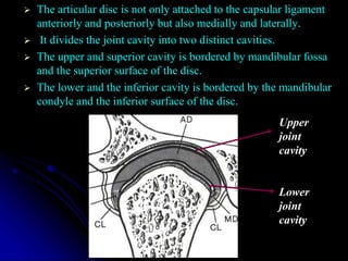 TMJ and it’s Prosthodontic Implication | PPT