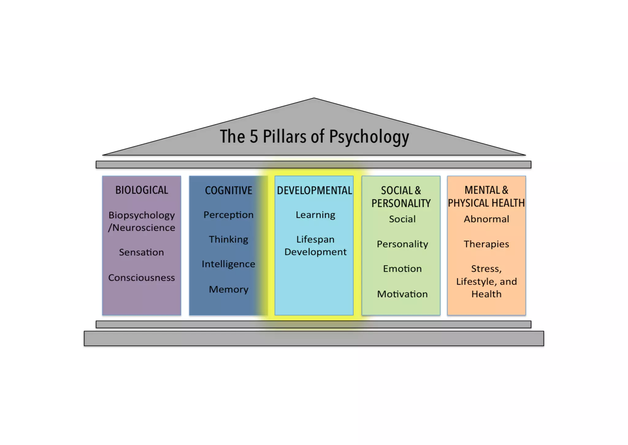 Introduction to psychology | PPT