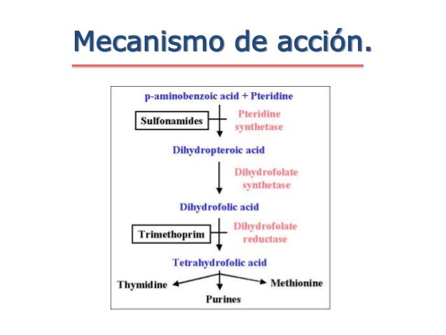 ENALAPRIL MECANISMO DE ACCION EBOOK ENALAPRIL MECANISMO DE ACCION EBOOK