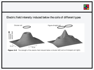 Electric field intensity induced below the coils of different types

 