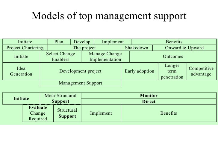 Top Management Support Mantra or Necessity?