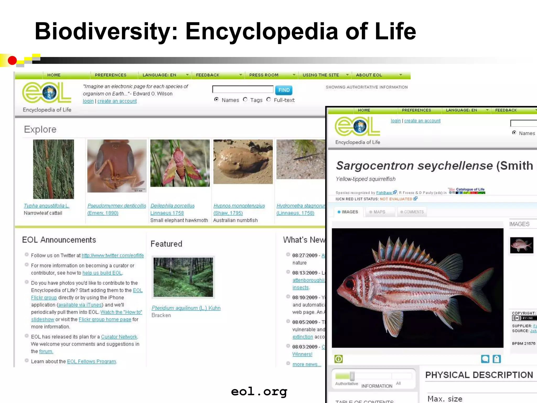 Serve.gov: Voluntary serviceRegister Your Project & Recruit VolunteersFind a Volunteer OpportunityRead Inspiring Stories of Service & Share Your Own Story