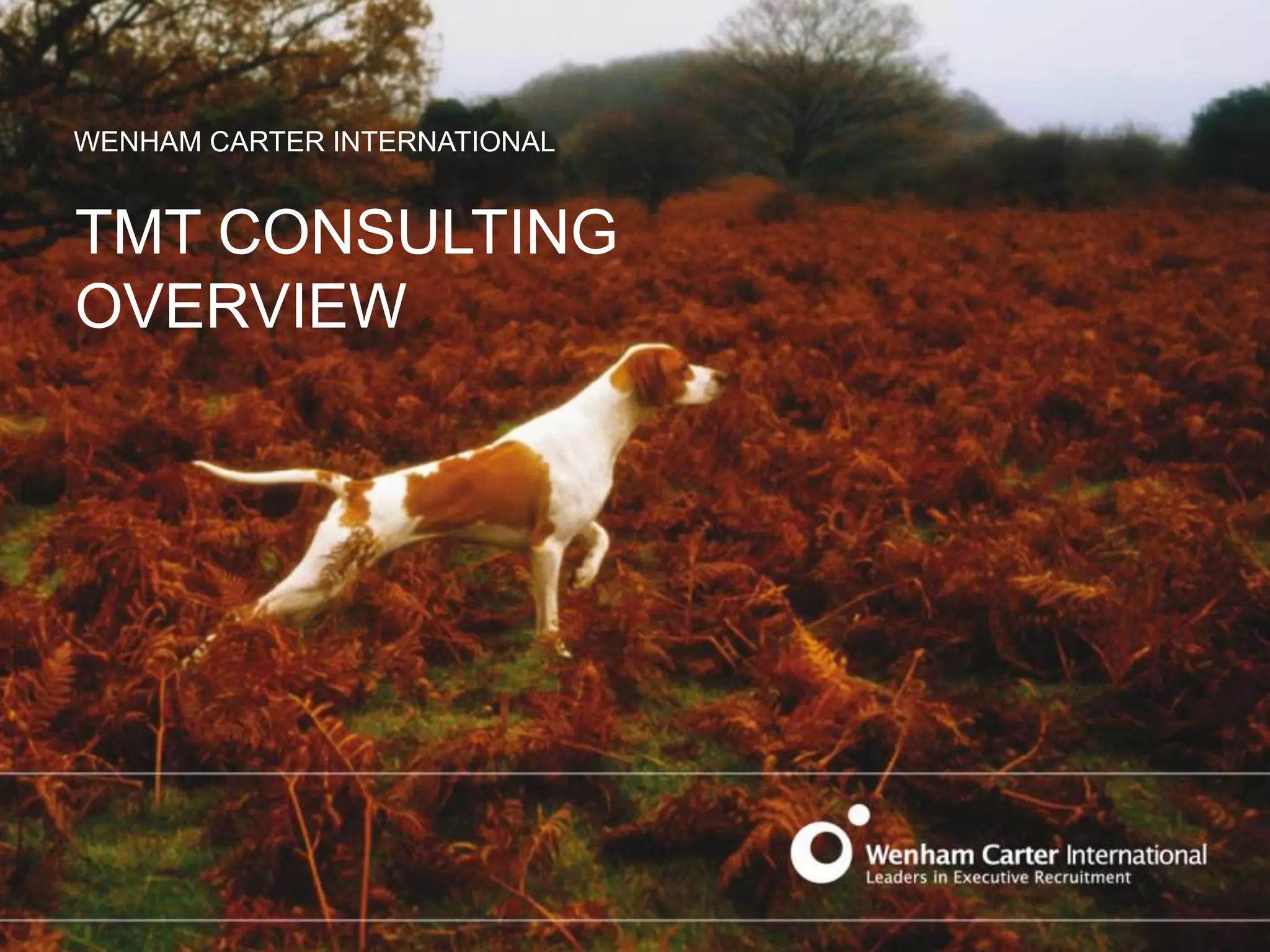 Tmt consulting overview 2013 PPT