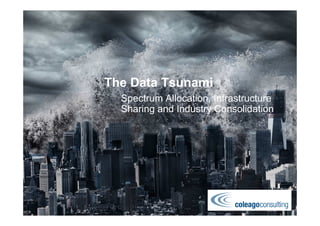 The Data Tsunami 
Spectrum Allocation, Infrastructure 
Sharing and Industry Consolidation 
 