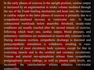 In the early phases of exercise in the upright position, cardiac output is increased by an augmentation in stroke volume mediated through the use of the Frank-Starling mechanism and heart rate; the increase in cardiac output in the latter phases of exercise is primarily due to a sympathetic-mediated increase in ventricular rate. At fixed submaximal workloads below anaerobic threshold, steady-state conditions are usually reached after the second minute of exercise, following which heart rate, cardiac output, blood pressure, and pulmonary ventilation are maintained at reason­ably constant levels. During strenuous exertion, sympathetic discharge is maximal and parasympathetic stimulation is withdrawn, resulting in vaso­constriction of most circulatory body systems, except for that in exercising muscle and in the cerebral and coronary circulations. Venous and arterial nor­epinephrine release from sympathetic postganglionic nerve endings, as well as plasma renin levels, are increased; the catecholamine release enhances ven­tricular contractility.  