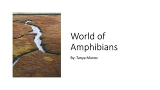 World of
Amphibians
By: Tanya Munoz
 