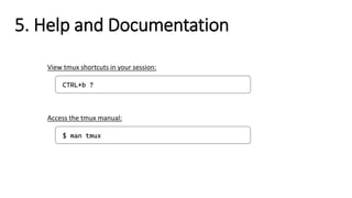 CTRL+b ?
View tmux shortcuts in your session:
$ man tmux
Access the tmux manual:
5. Help and Documentation
 